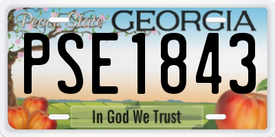 GA license plate PSE1843