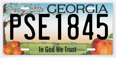GA license plate PSE1845