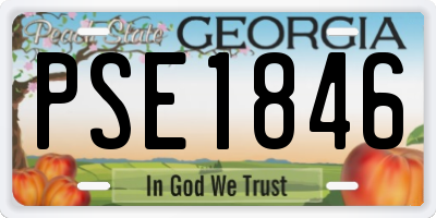 GA license plate PSE1846