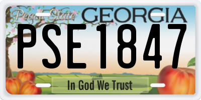 GA license plate PSE1847