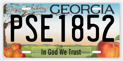 GA license plate PSE1852