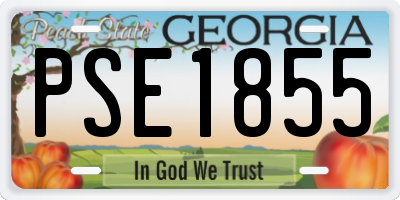 GA license plate PSE1855