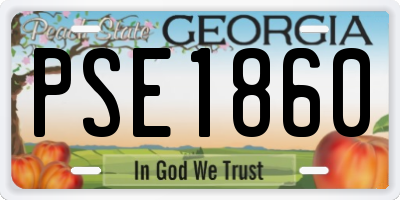 GA license plate PSE1860