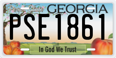 GA license plate PSE1861