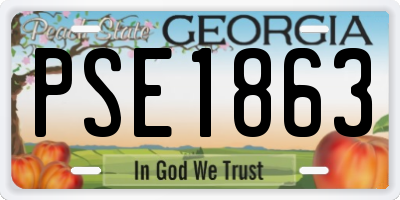 GA license plate PSE1863