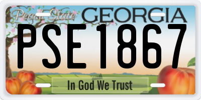 GA license plate PSE1867