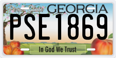 GA license plate PSE1869