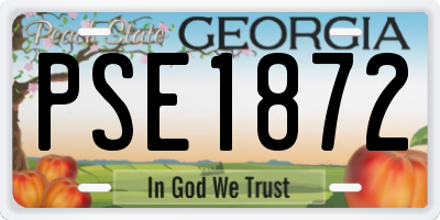 GA license plate PSE1872