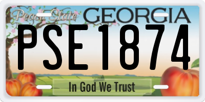 GA license plate PSE1874