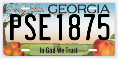 GA license plate PSE1875
