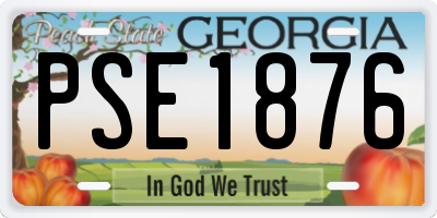 GA license plate PSE1876
