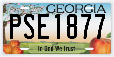GA license plate PSE1877