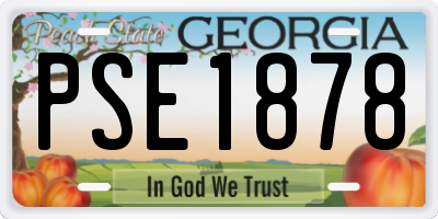 GA license plate PSE1878