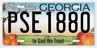 GA license plate PSE1880
