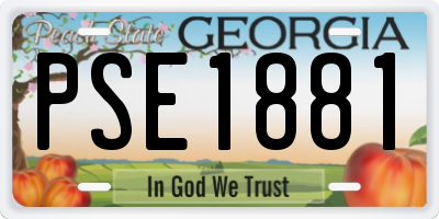 GA license plate PSE1881