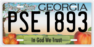 GA license plate PSE1893