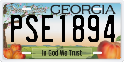 GA license plate PSE1894