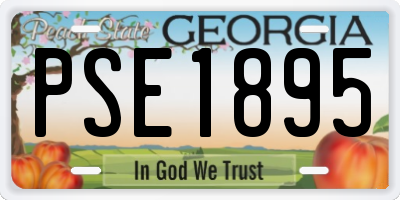 GA license plate PSE1895