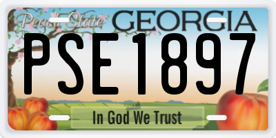 GA license plate PSE1897