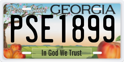 GA license plate PSE1899