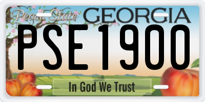 GA license plate PSE1900