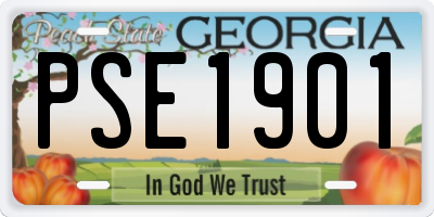 GA license plate PSE1901