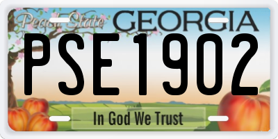 GA license plate PSE1902