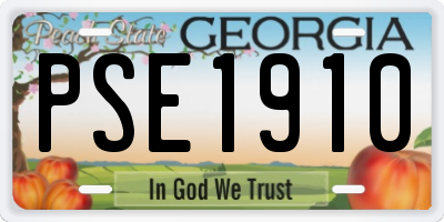 GA license plate PSE1910