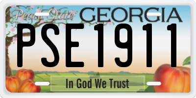 GA license plate PSE1911