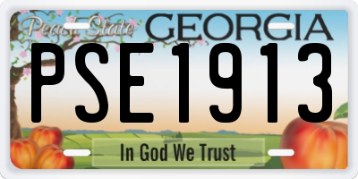 GA license plate PSE1913