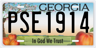 GA license plate PSE1914
