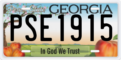 GA license plate PSE1915
