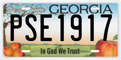 GA license plate PSE1917