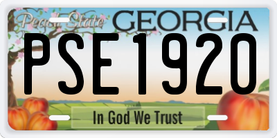GA license plate PSE1920