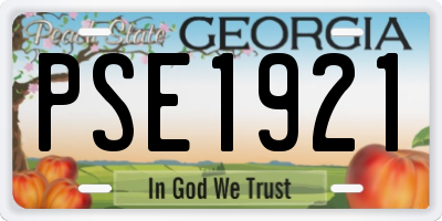 GA license plate PSE1921