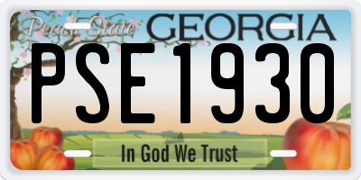GA license plate PSE1930