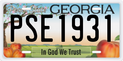 GA license plate PSE1931