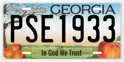 GA license plate PSE1933