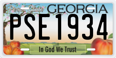 GA license plate PSE1934
