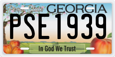 GA license plate PSE1939