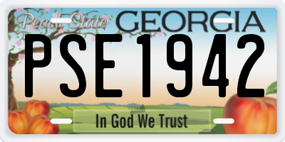 GA license plate PSE1942
