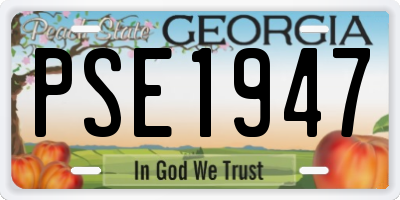 GA license plate PSE1947