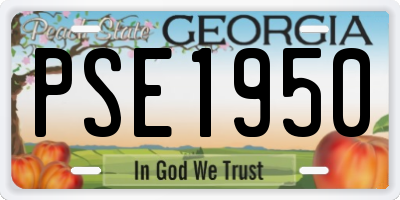 GA license plate PSE1950