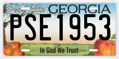 GA license plate PSE1953