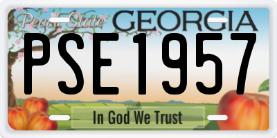GA license plate PSE1957