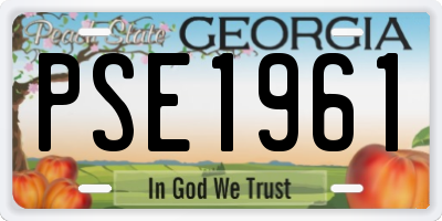 GA license plate PSE1961