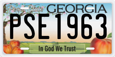 GA license plate PSE1963