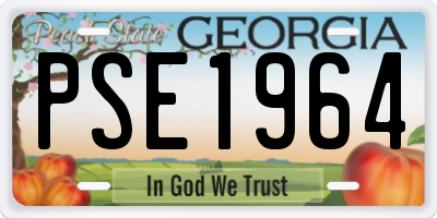 GA license plate PSE1964