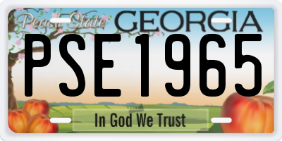 GA license plate PSE1965