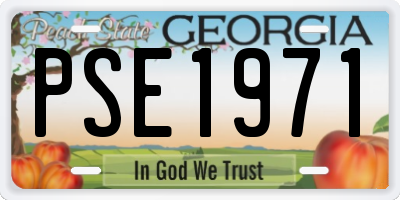 GA license plate PSE1971
